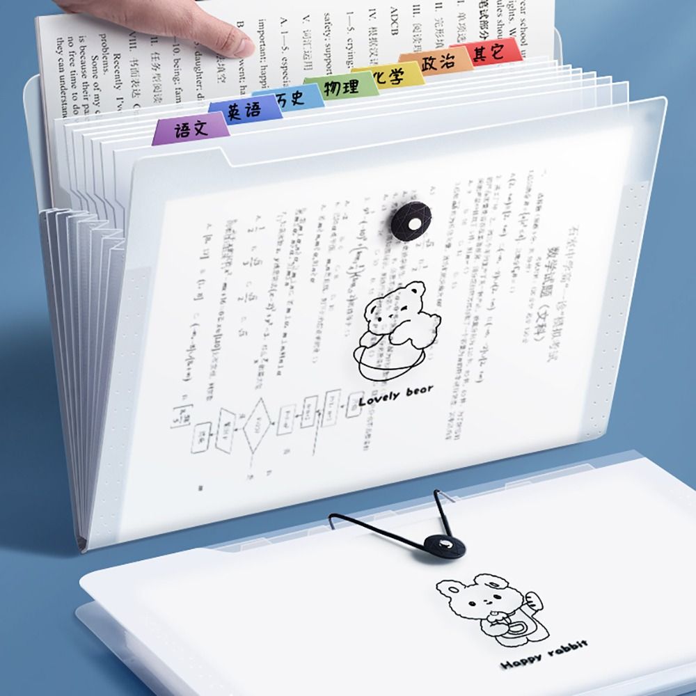 Document Organizer Folder - Carpeta de archivos A4 impermeable de