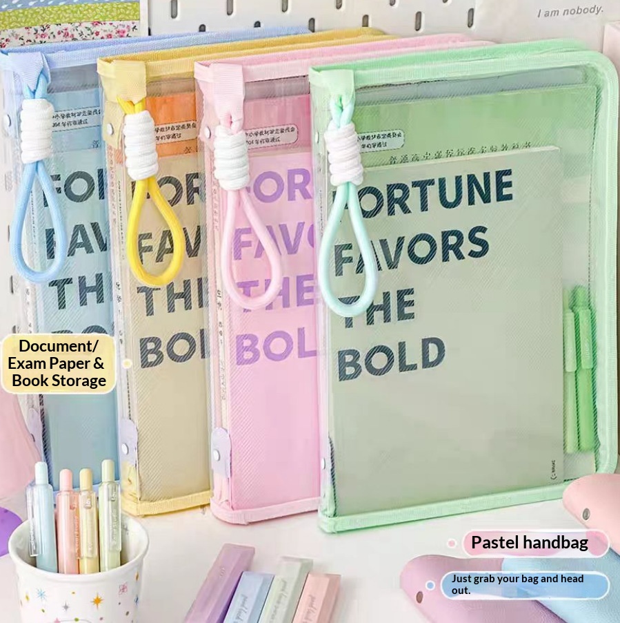 Bolsa para documentos transpar - Document Organizer Folder reseña y precio